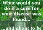 Speciosa.org