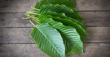 Kratom leaves