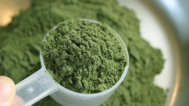 kratom-powder