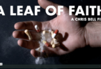 A Leaf of Faith Trailer photo