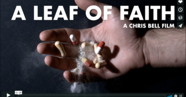 A Leaf of Faith Trailer photo