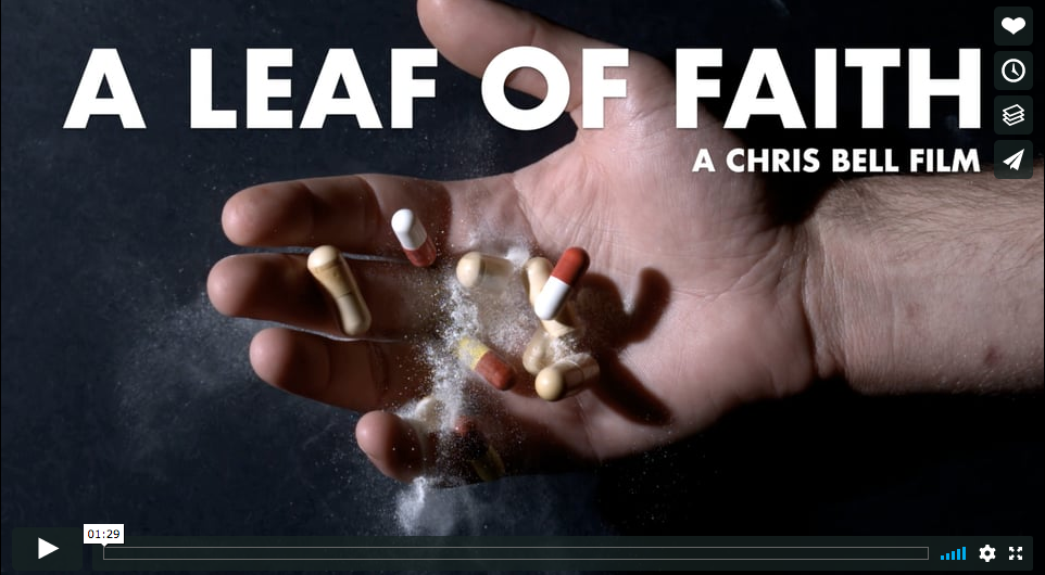 A Leaf of Faith Trailer photo