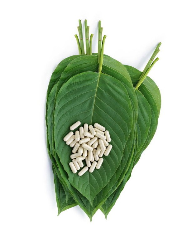 Kratom leaves and capsules