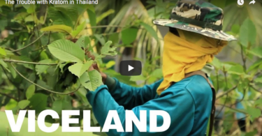 Viceland Kratom clip