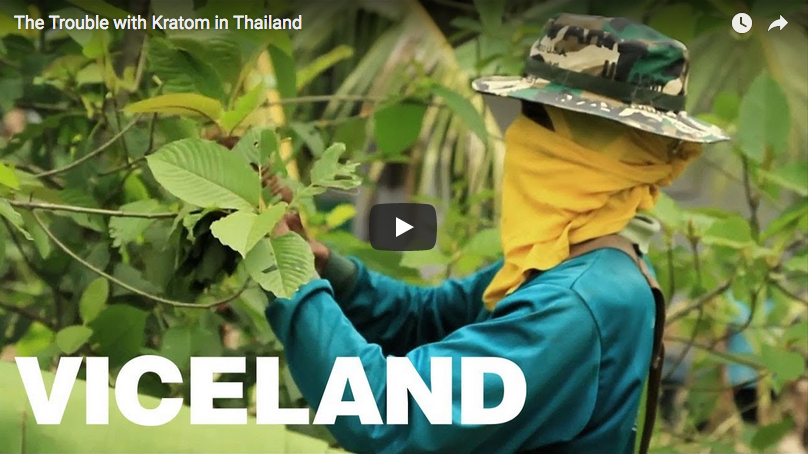 Viceland Kratom clip