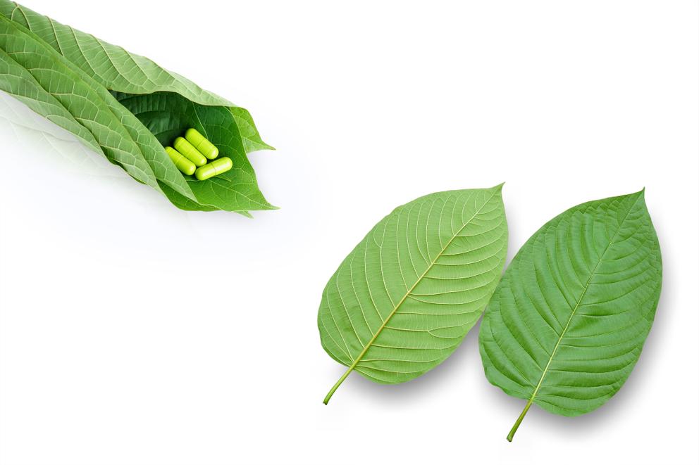 kratom leaf